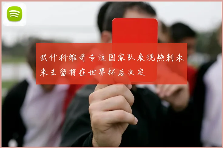 武什科维奇专注国家队表现热刺未来去留将在世界杯后决定