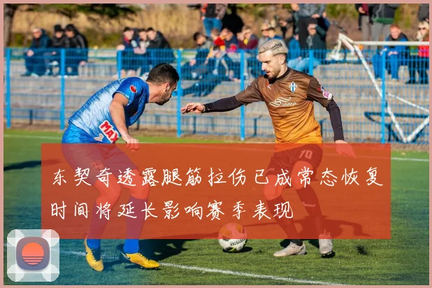 东契奇透露腿筋拉伤已成常态恢复时间将延长影响赛季表现
