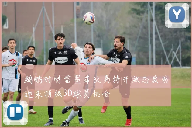 鹈鹕对特雷墨菲交易持开放态度或迎来顶级3D球员机会